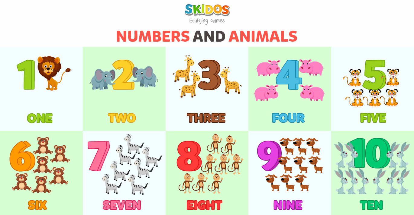 Learn-first-graders-math-vocabulary-numbers-animals